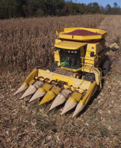 New Holland combine in corn field. - jepthacreed